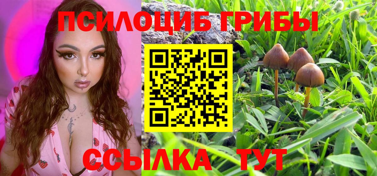 Бутурлиновка  Галлюциногенные грибы мицелий  Вход с VPN  Галлюциногенные грибы GOLDEN TEACHER 